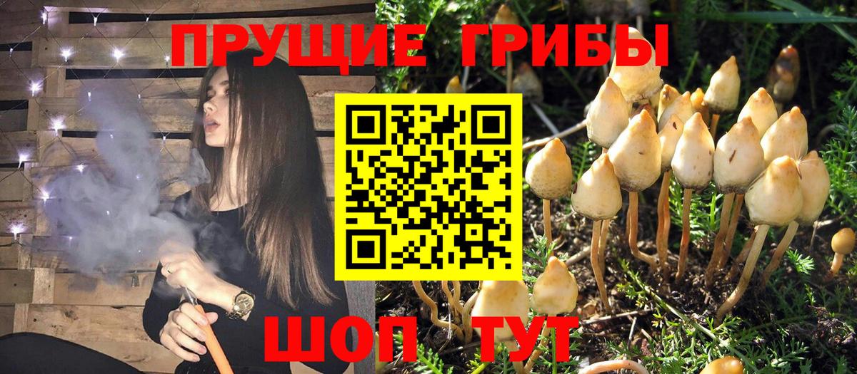 Галлюциногенные грибы мицелий Ишим