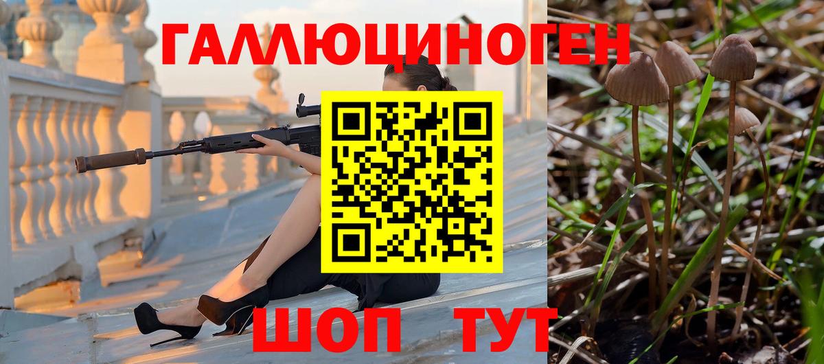 Ишим  Псилоцибиновые грибы Psilocybine cubensis  Вход с VPN  Псилоцибиновые грибы GOLDEN TEACHER 
