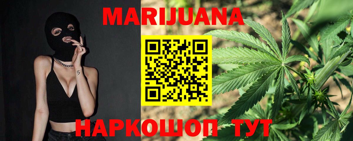 Ишим  Конопля план  Вход с VPN  Канабис сатива 
